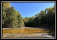 More of Tract 2 - Perry Ridge