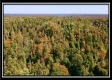 More of Tract 3 – Perry Ridge