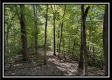 More of Tract 3 – Perry Ridge