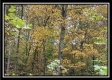 The Cave at Oil Hollow property photo