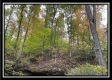 The Cave at Oil Hollow property photo