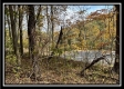 More of Whitetail Retreat at Possum Trot