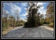 Whitetail Retreat at Possum Trot property photo