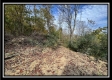 Tract 4 – Possum Trot property photo