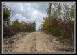 Hunter’s Hideaway property photo