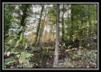 Hunter’s Hideaway property photo