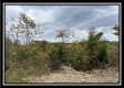 Hunter’s Hideaway property photo