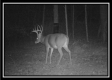 Hunter’s Hideaway property photo