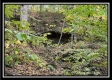 More of Hunter’s Hideaway