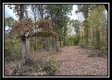 Hunter’s Hideaway property photo