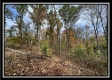 Hunter’s Hideaway property photo