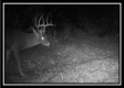Hunter’s Hideaway property photo