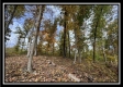 More of Hunter’s Hideaway