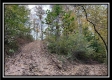 Hunter’s Hideaway property photo
