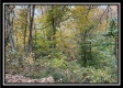 Hunter’s Hideaway property photo