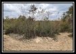 Hunter’s Hideaway property photo