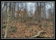 35648 Buck Run Road, Langsville, OH property photo