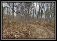 35648 Buck Run Road, Langsville, OH property photo