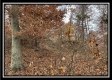 35648 Buck Run Road, Langsville, OH property photo