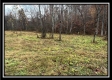 35648 Buck Run Road, Langsville, OH property photo