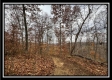 35648 Buck Run Road, Langsville, OH property photo