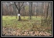35648 Buck Run Road, Langsville, OH property photo