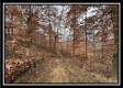 35648 Buck Run Road, Langsville, OH property photo