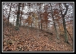 35648 Buck Run Road, Langsville, OH property photo