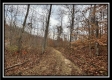 35648 Buck Run Road, Langsville, OH property photo