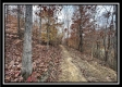 35648 Buck Run Road, Langsville, OH property photo