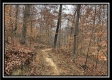 35648 Buck Run Road, Langsville, OH property photo