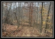 35648 Buck Run Road, Langsville, OH property photo