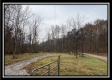 More of 35648 Buck Run Road, Langsville, OH