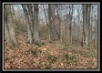 35648 Buck Run Road, Langsville, OH property photo