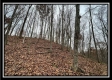 Tract 9 - Buck Run property photo
