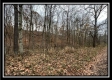 Tract 9 - Buck Run property photo