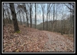 Tract 9 - Buck Run property photo
