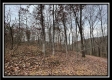 Tract 9 - Buck Run property photo