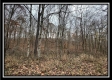 Tract 9 - Buck Run property photo