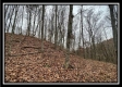 Tract 9 - Buck Run property photo