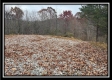 Tract 9 - Buck Run property photo