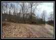Tract 9 - Buck Run property photo