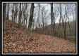 Tract 9 - Buck Run property photo