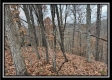 Tract 9 - Buck Run property photo