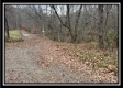 Tract 9 - Buck Run property photo