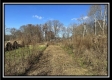 2.5 Ac Paradise property photo