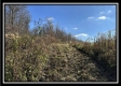 2.5 Ac Paradise property photo