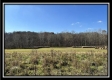 2.5 Ac Paradise property photo