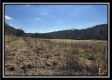 2.5 Ac Paradise property photo