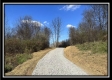 2.5 Ac Paradise property photo